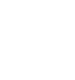 light icon