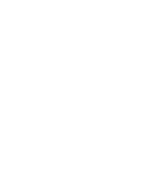 strong icon